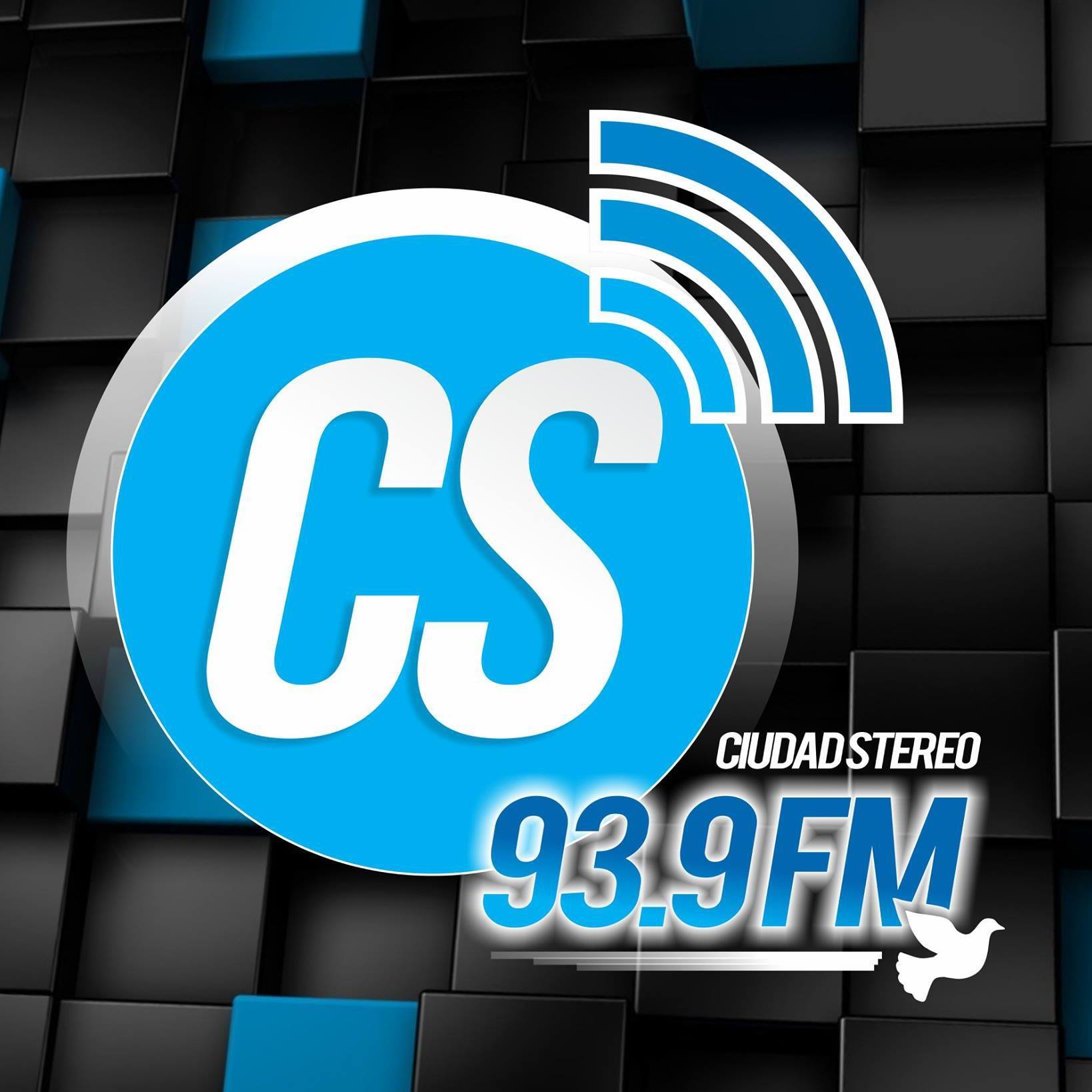 Website Image