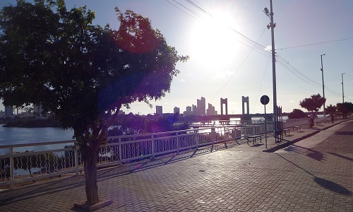 Website Image