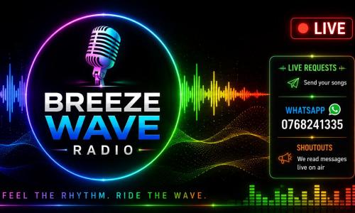 Website preview