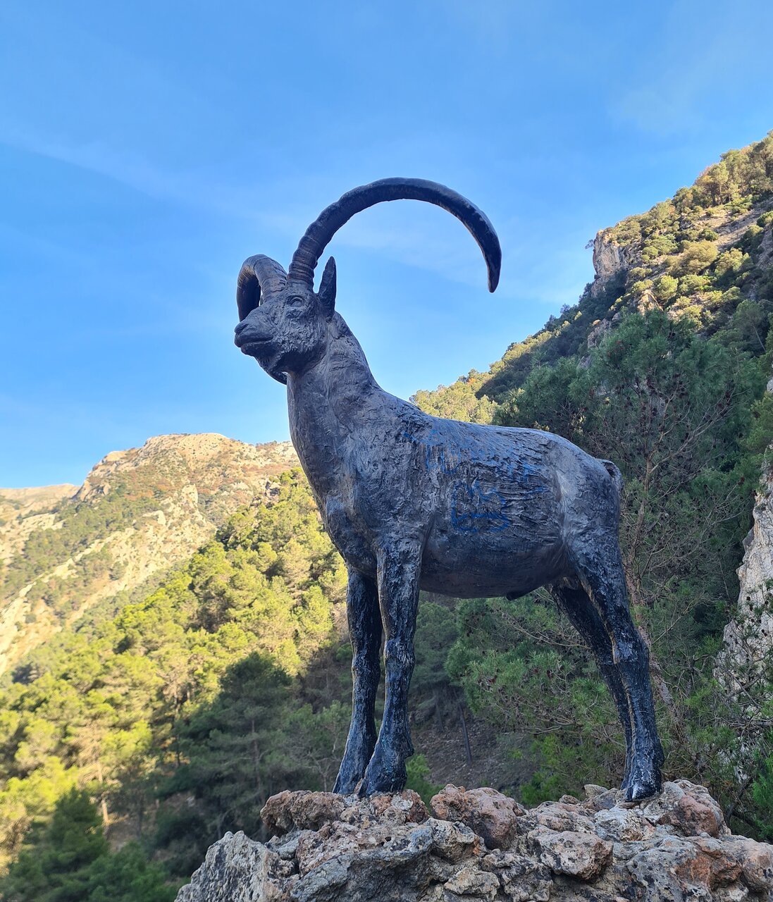 Website Image