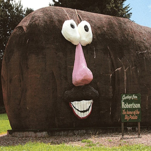 Website Image
