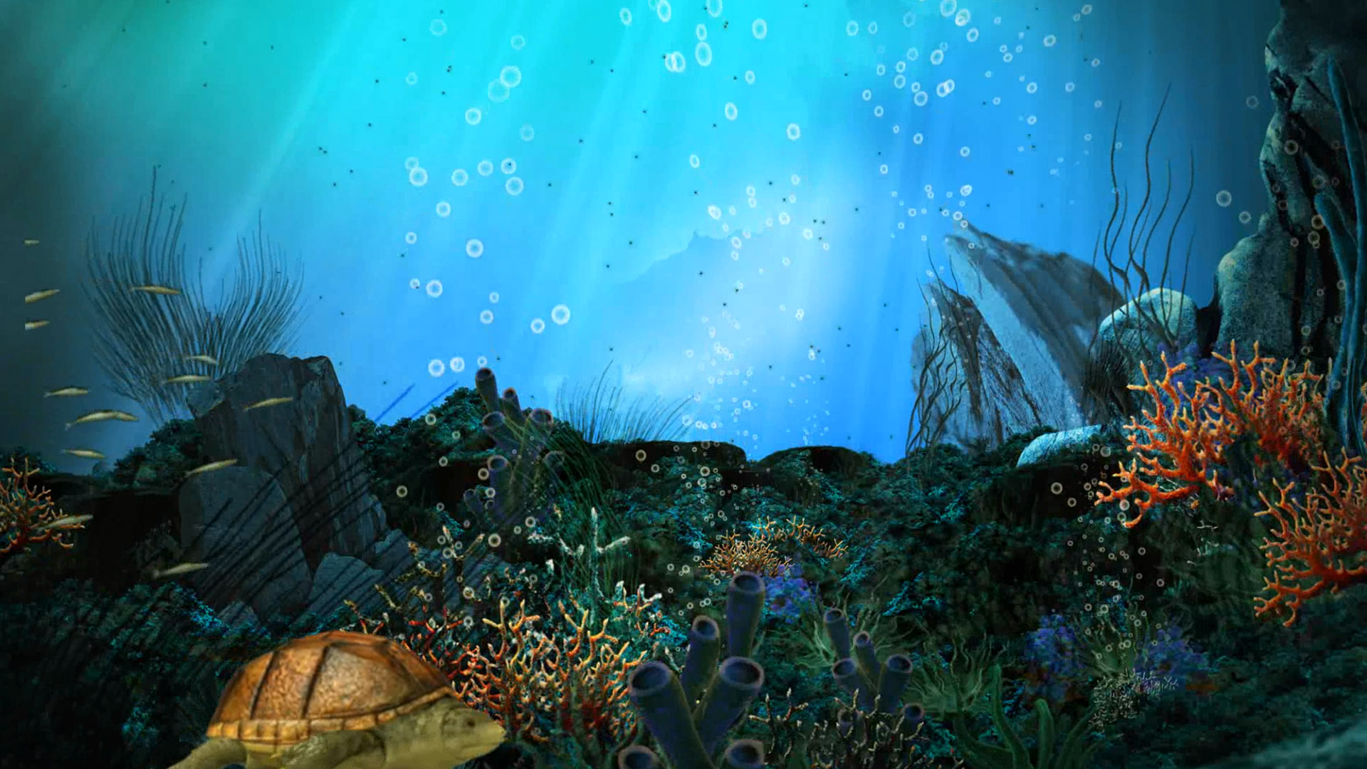 Website Image