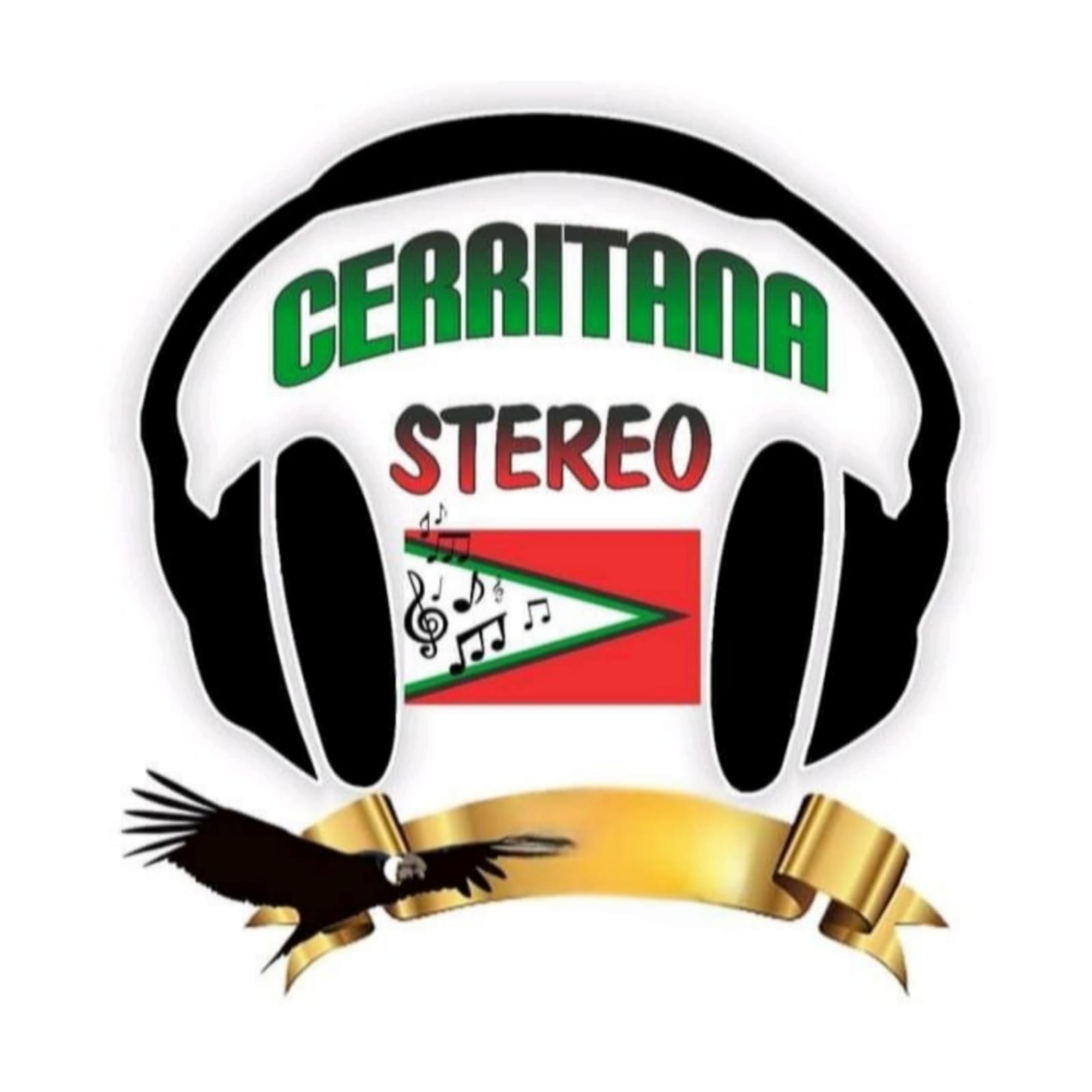 Website Image