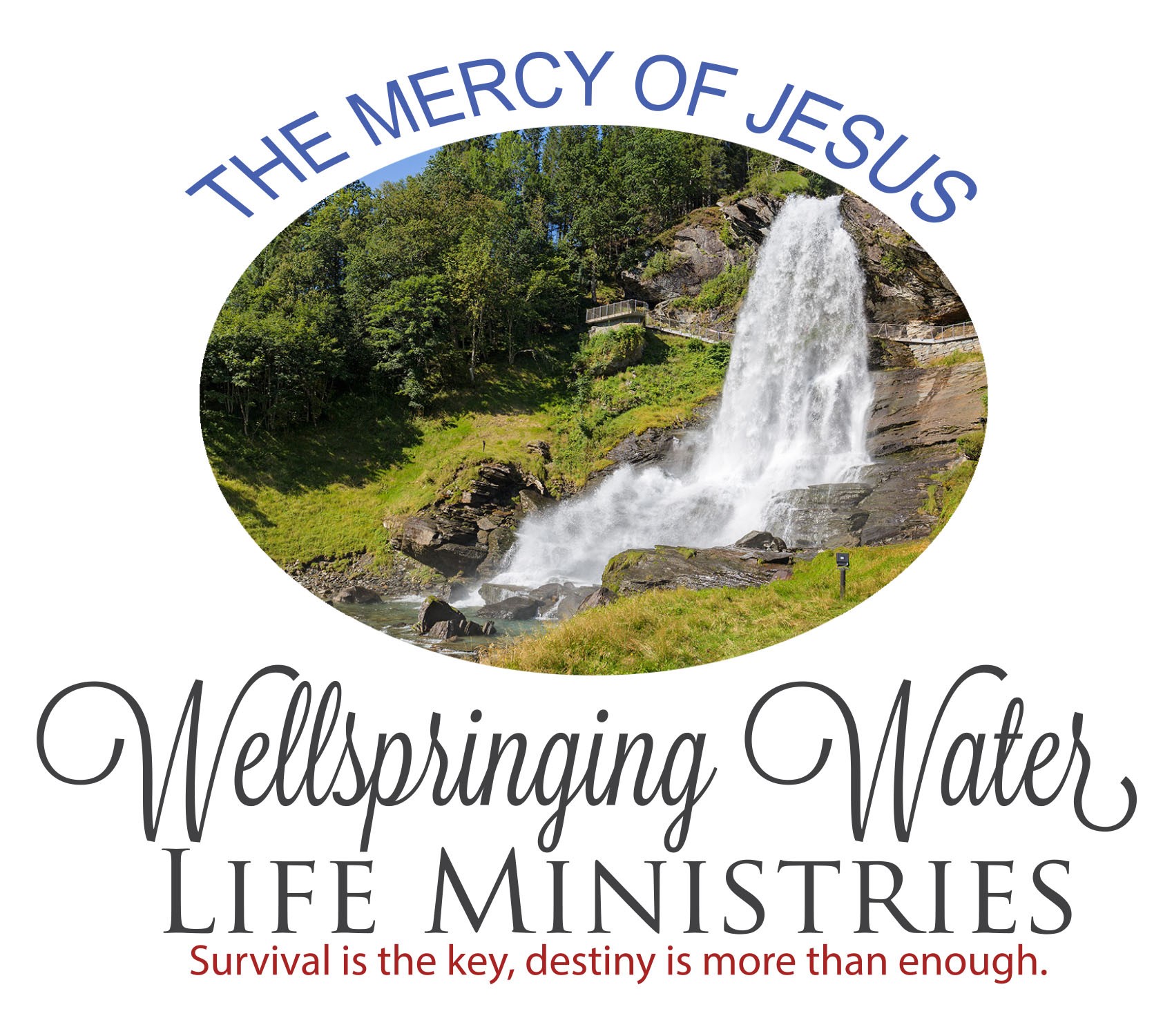 Website Image