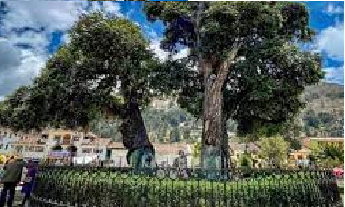 Website Image