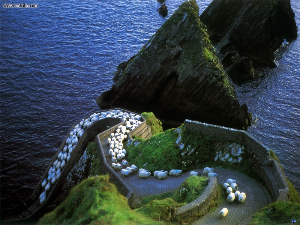 Website Image