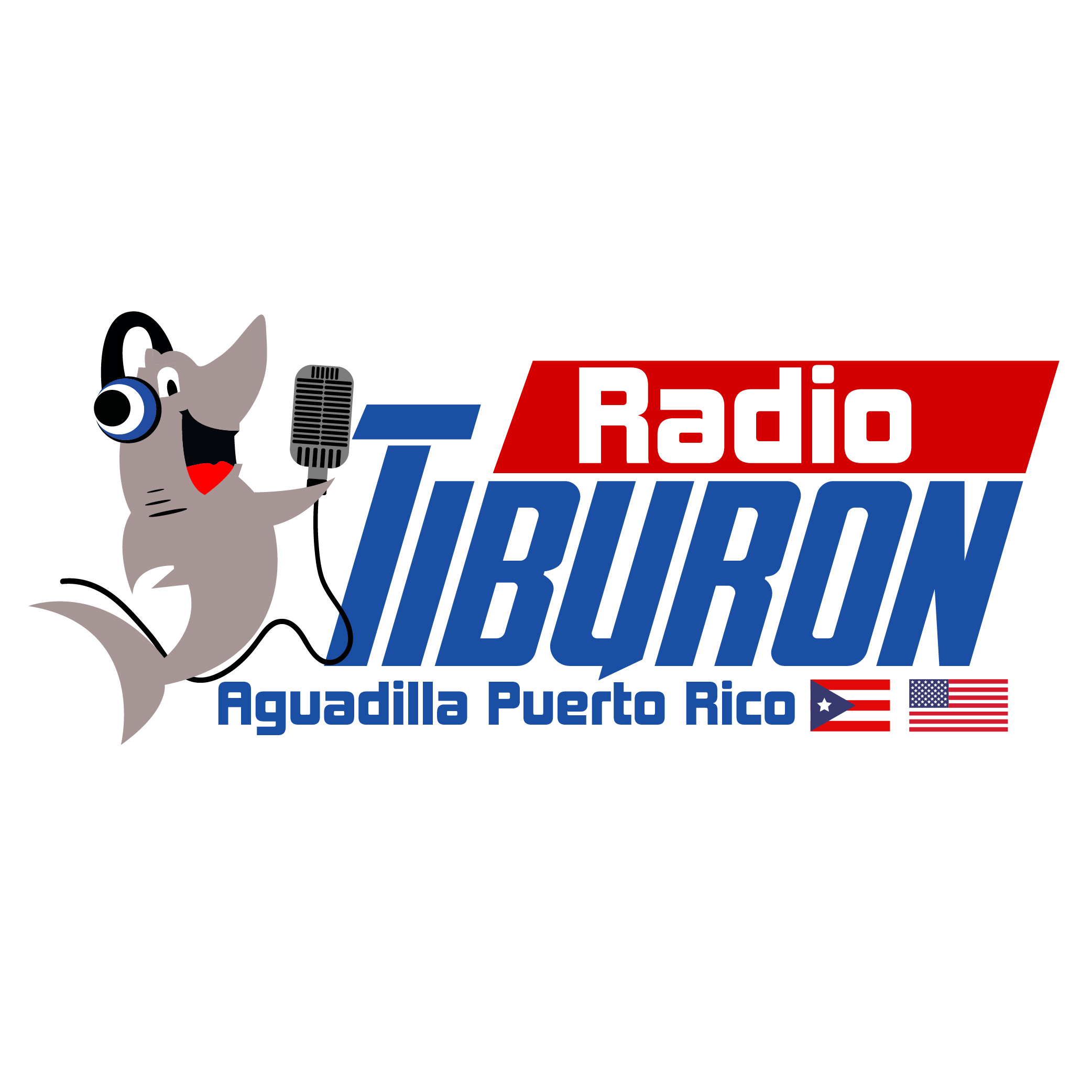 Website Image