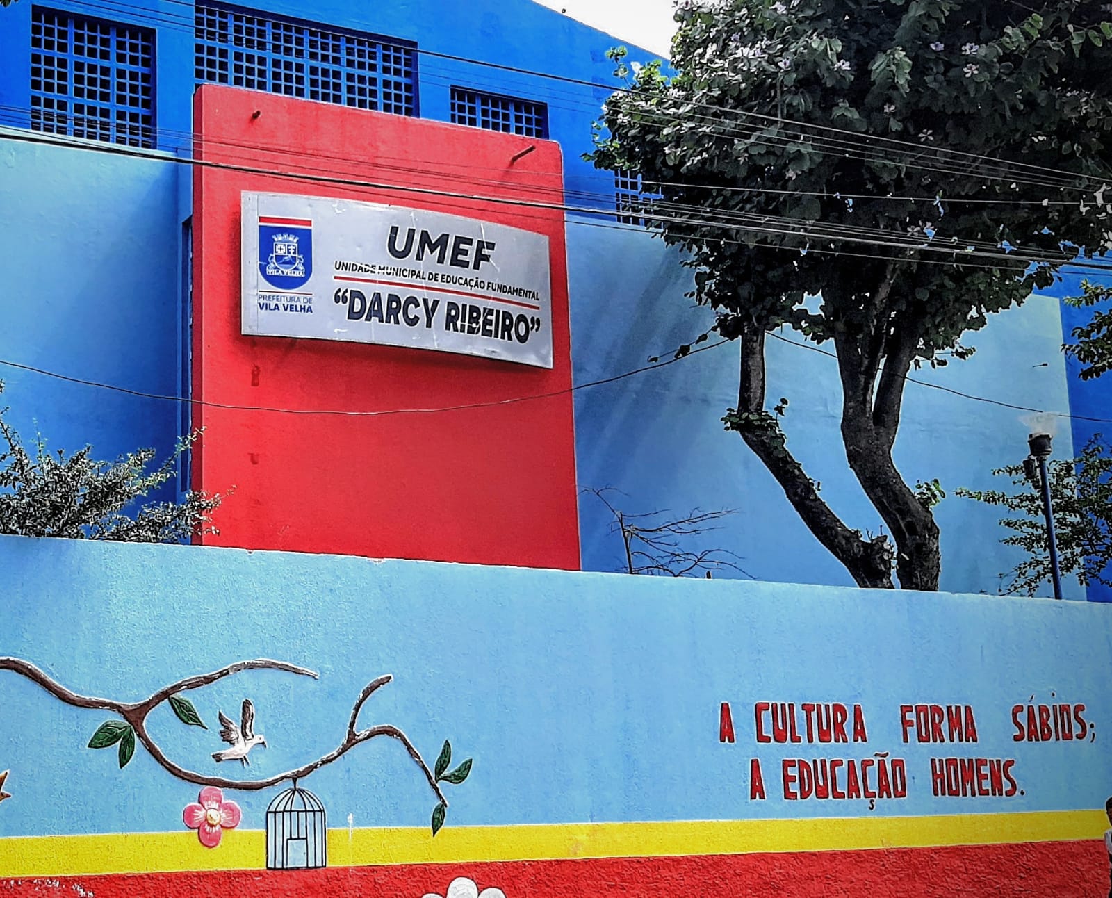 Website Image