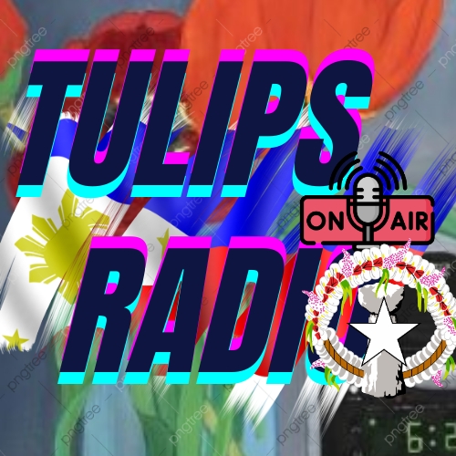 Website Image