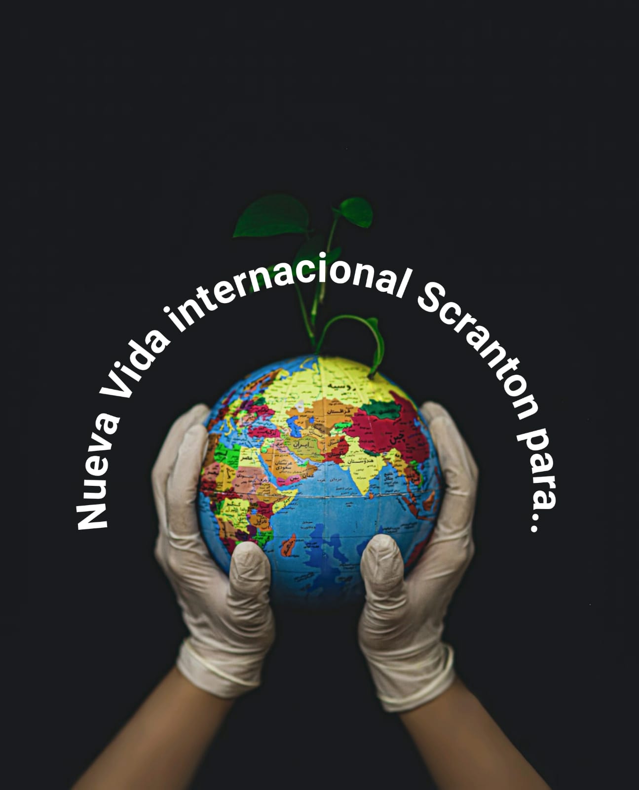 Website Image