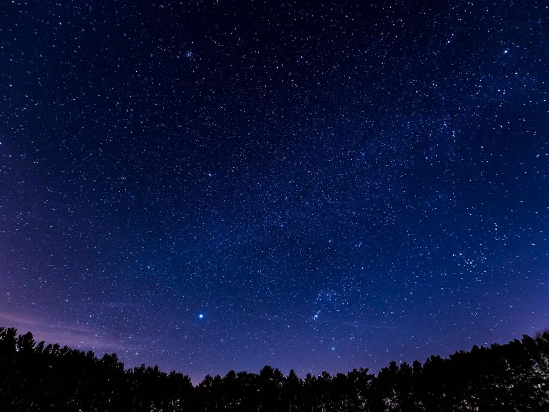 Website Image