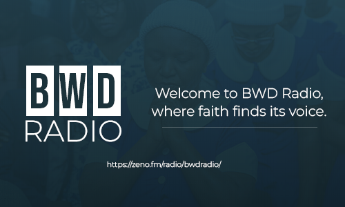 Website preview
