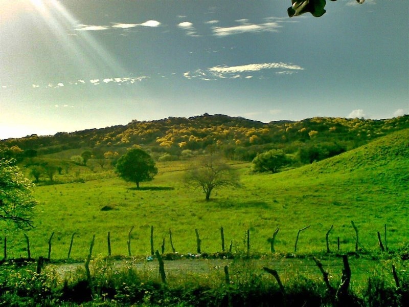 Website Image
