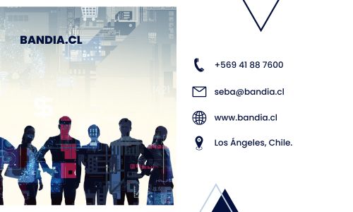 Website Image