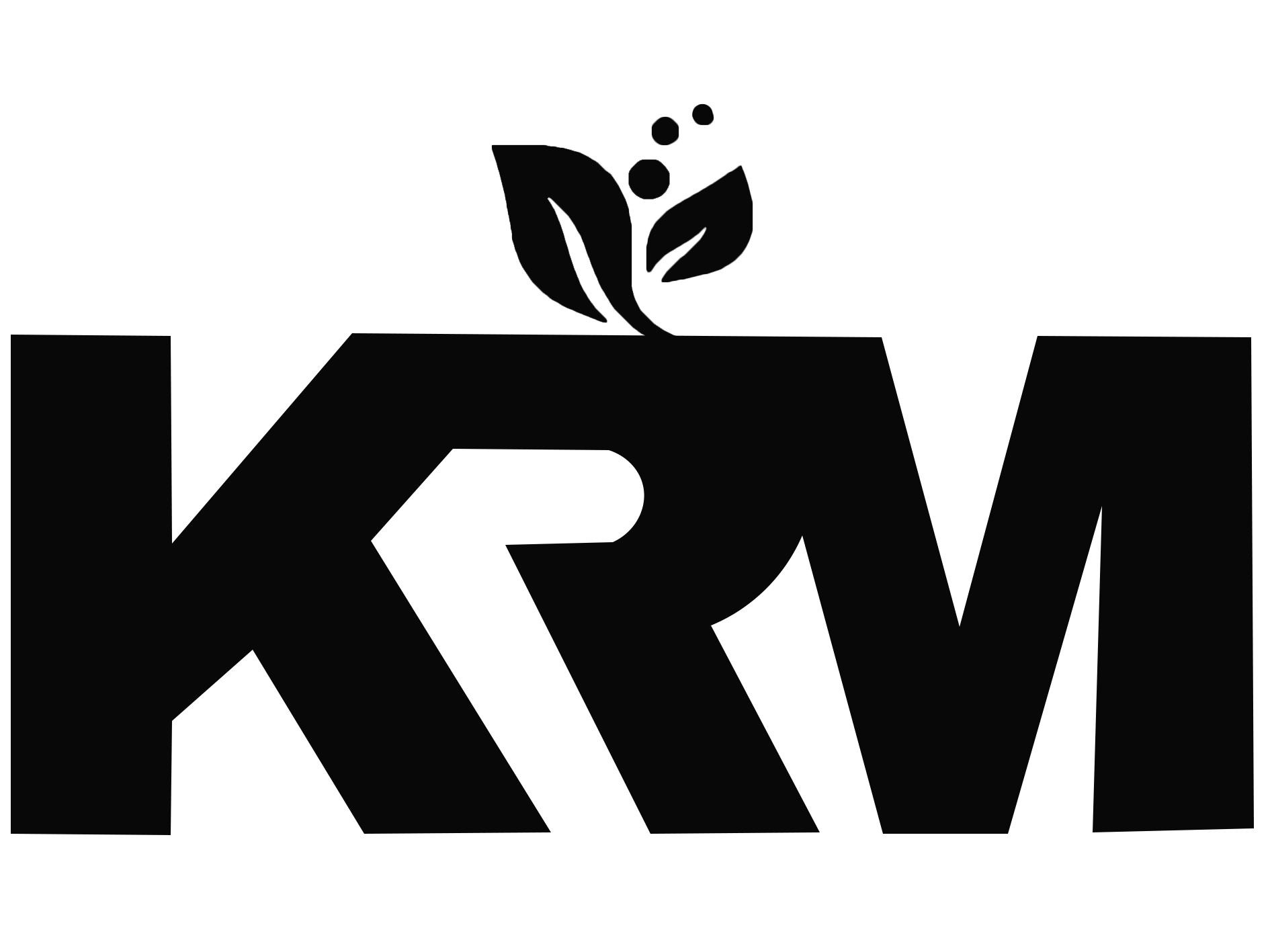Website Image