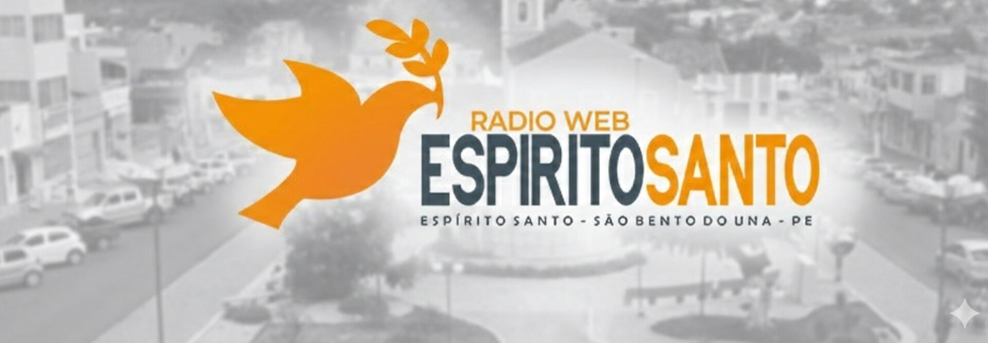 Website Image