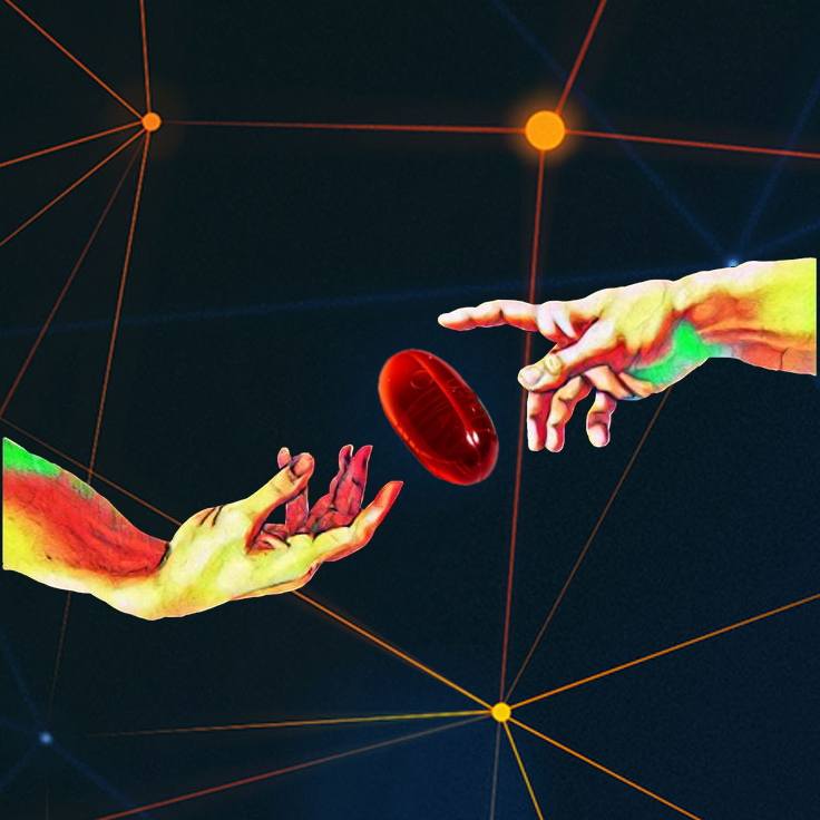 Website Image