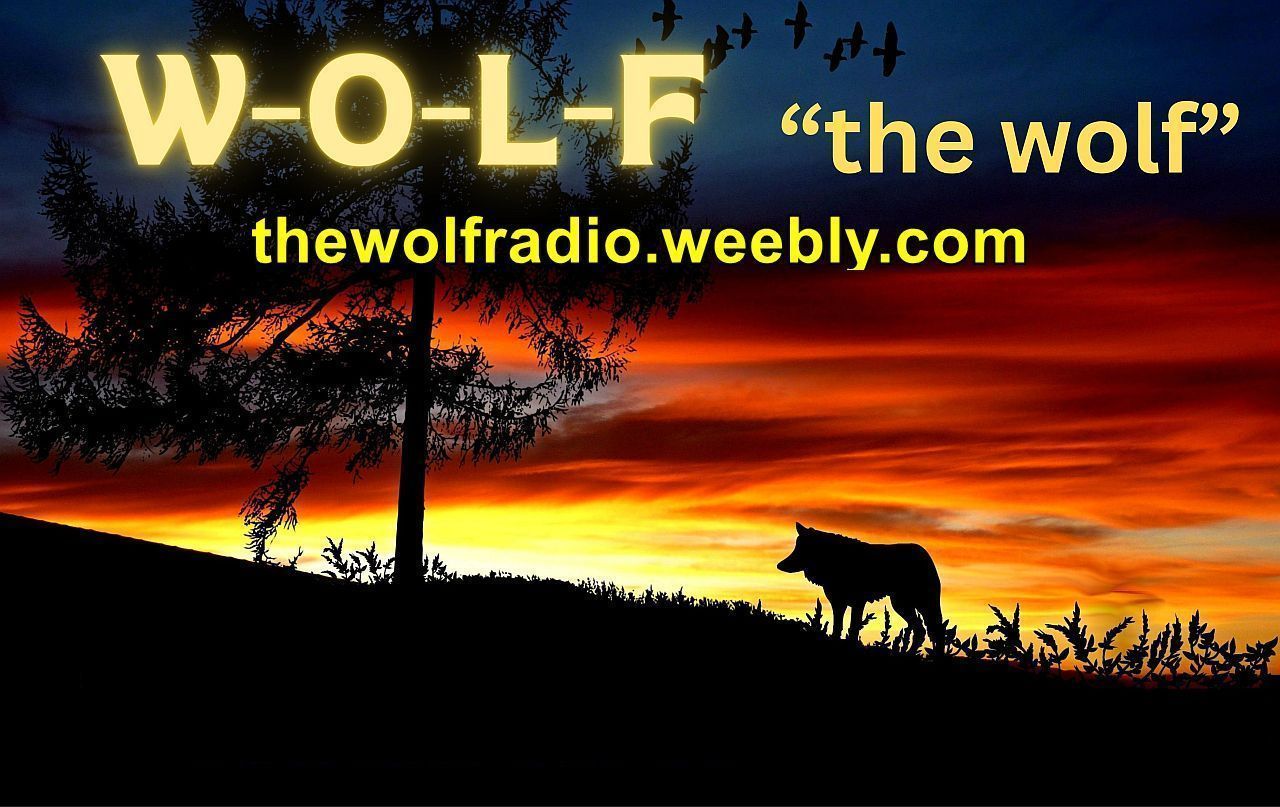 Website Image