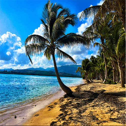 Website Image