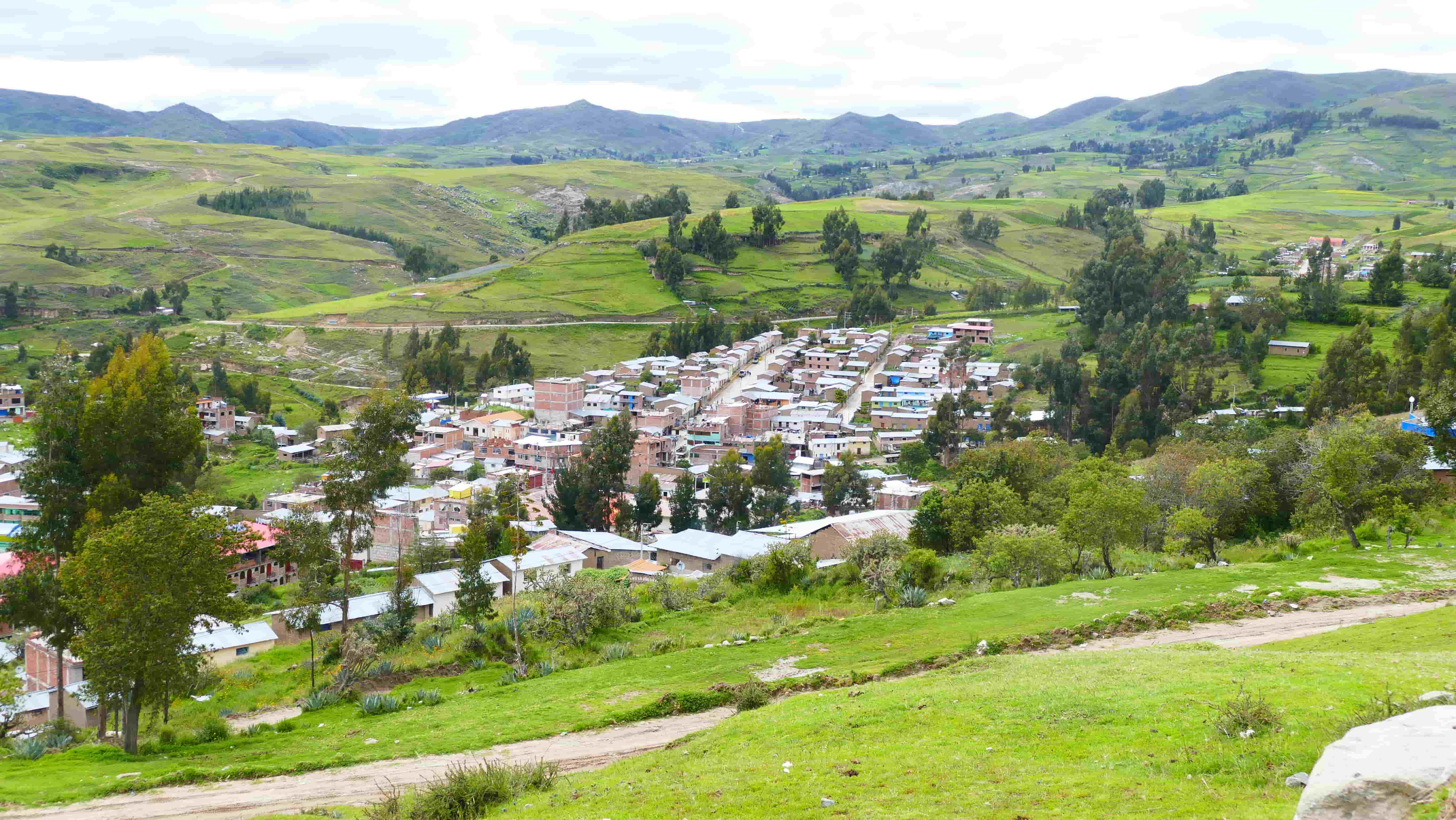 Website Image