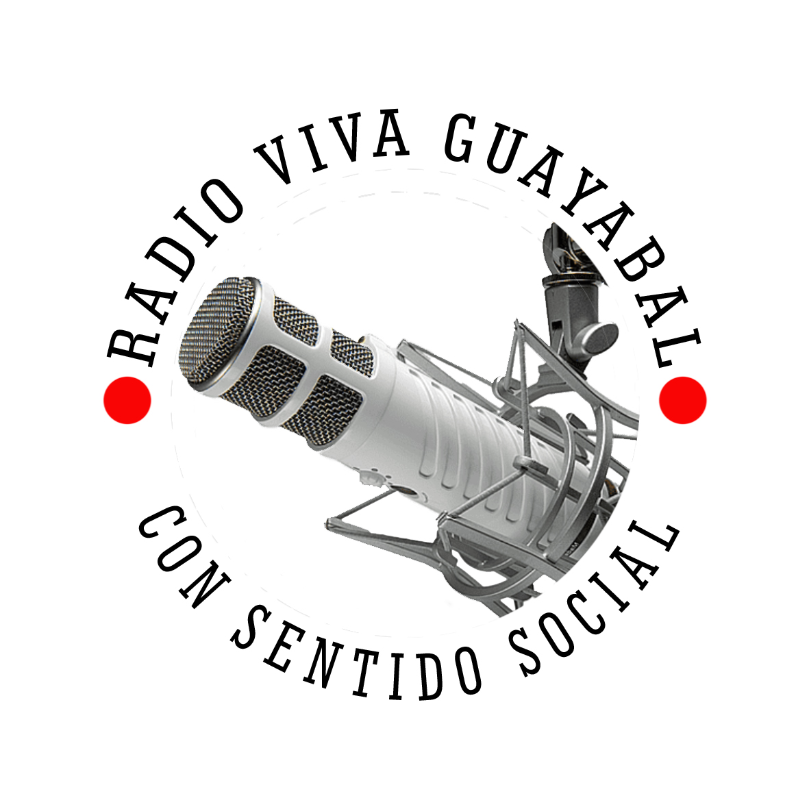 Website Image