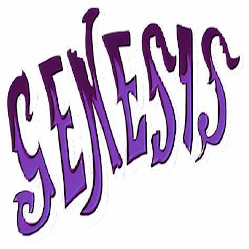 Website Image