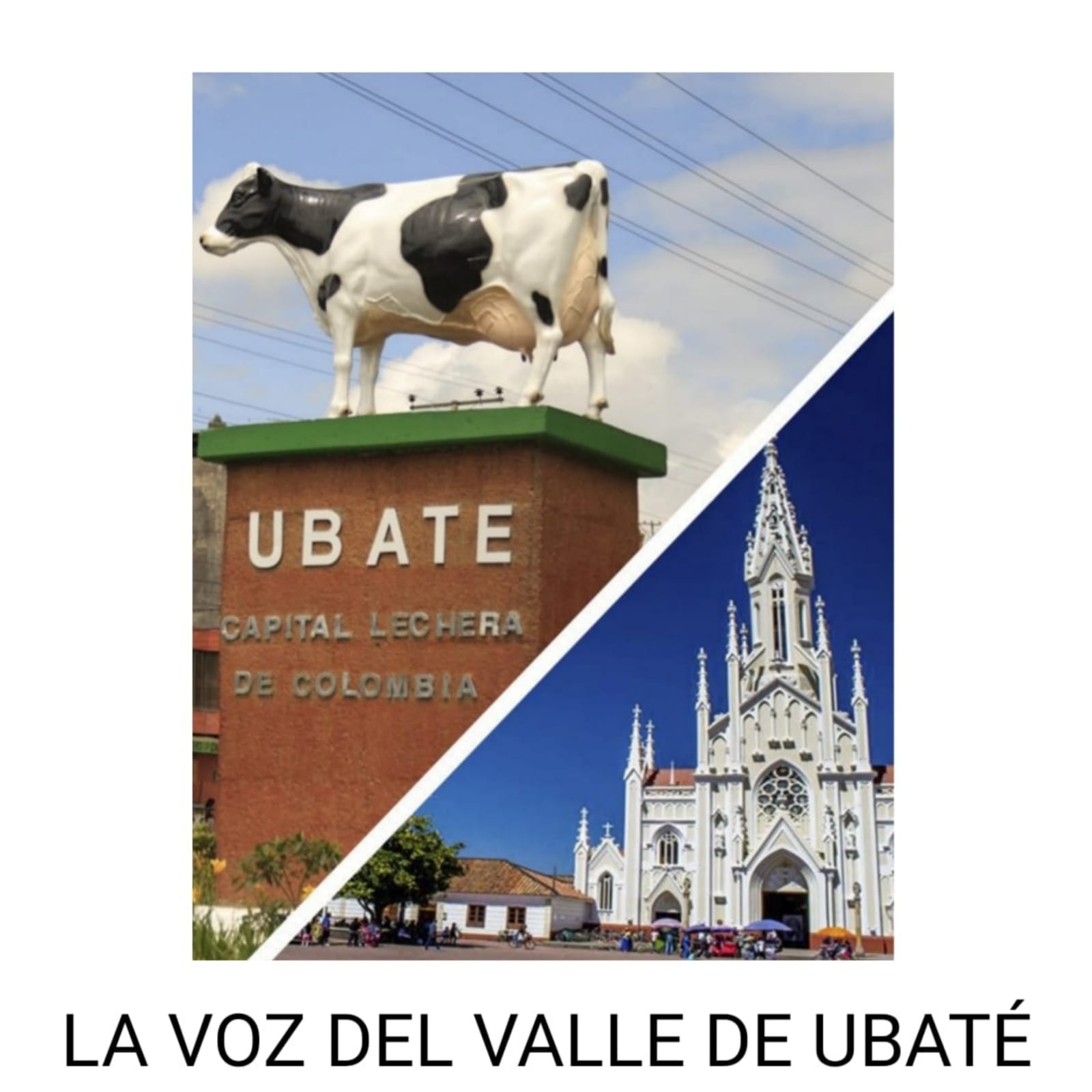 Website Image