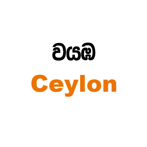Website Image