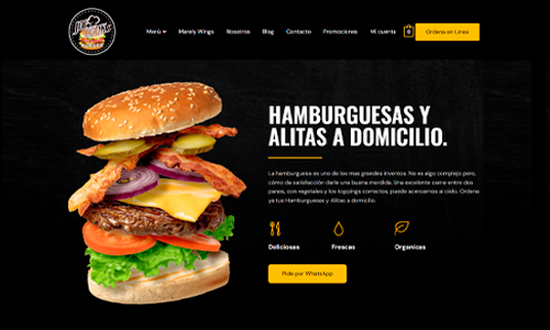 Website Image