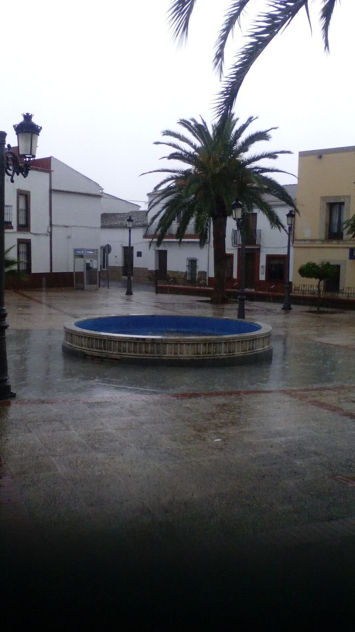 Website Image