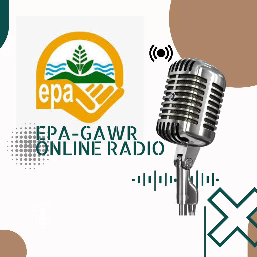 Website Image