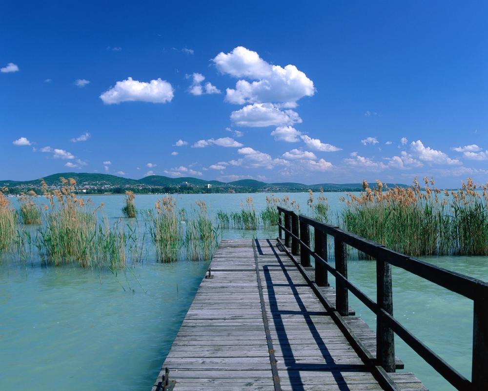 Website Image