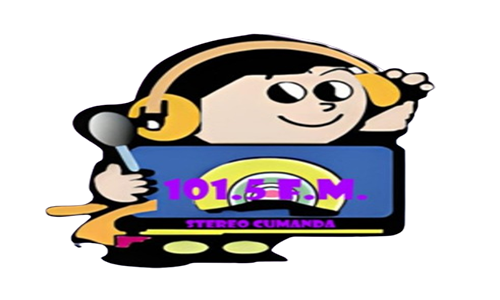Website Image