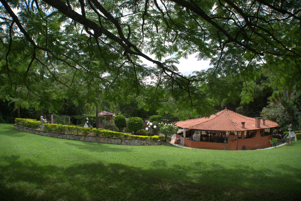 Website Image