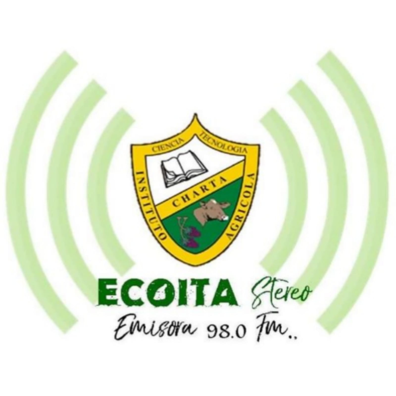 Website Image