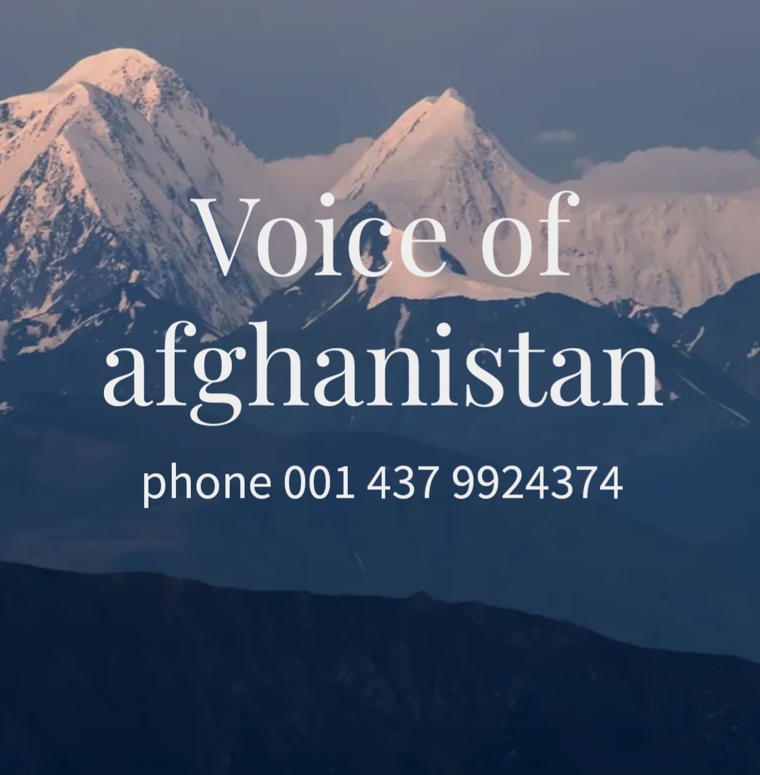 Website Image