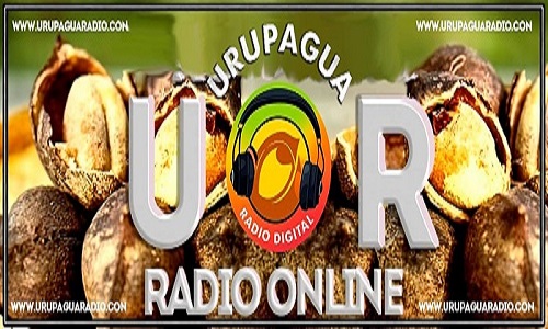 Website Image