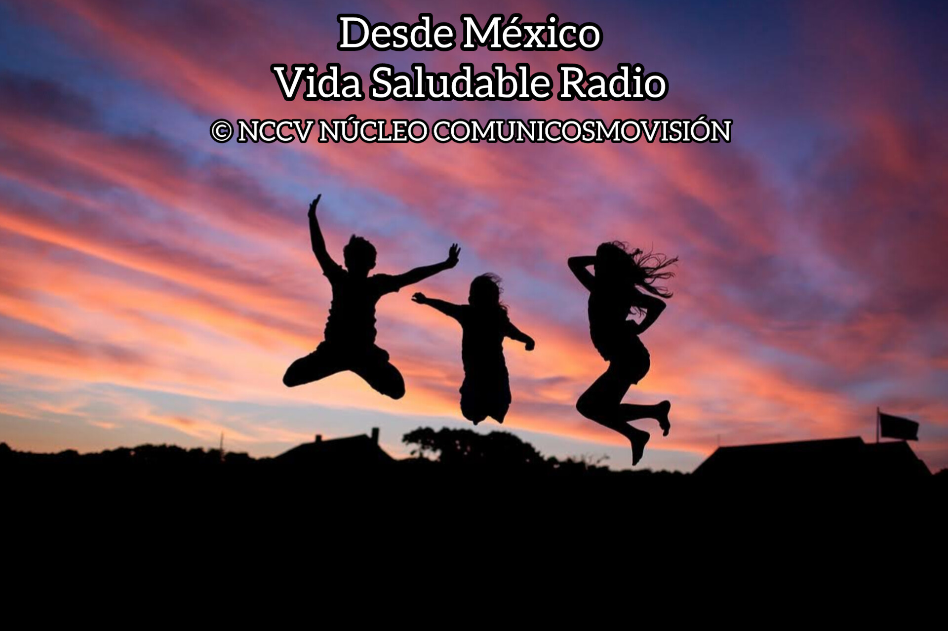 Website Image