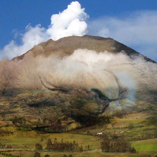 Website Image
