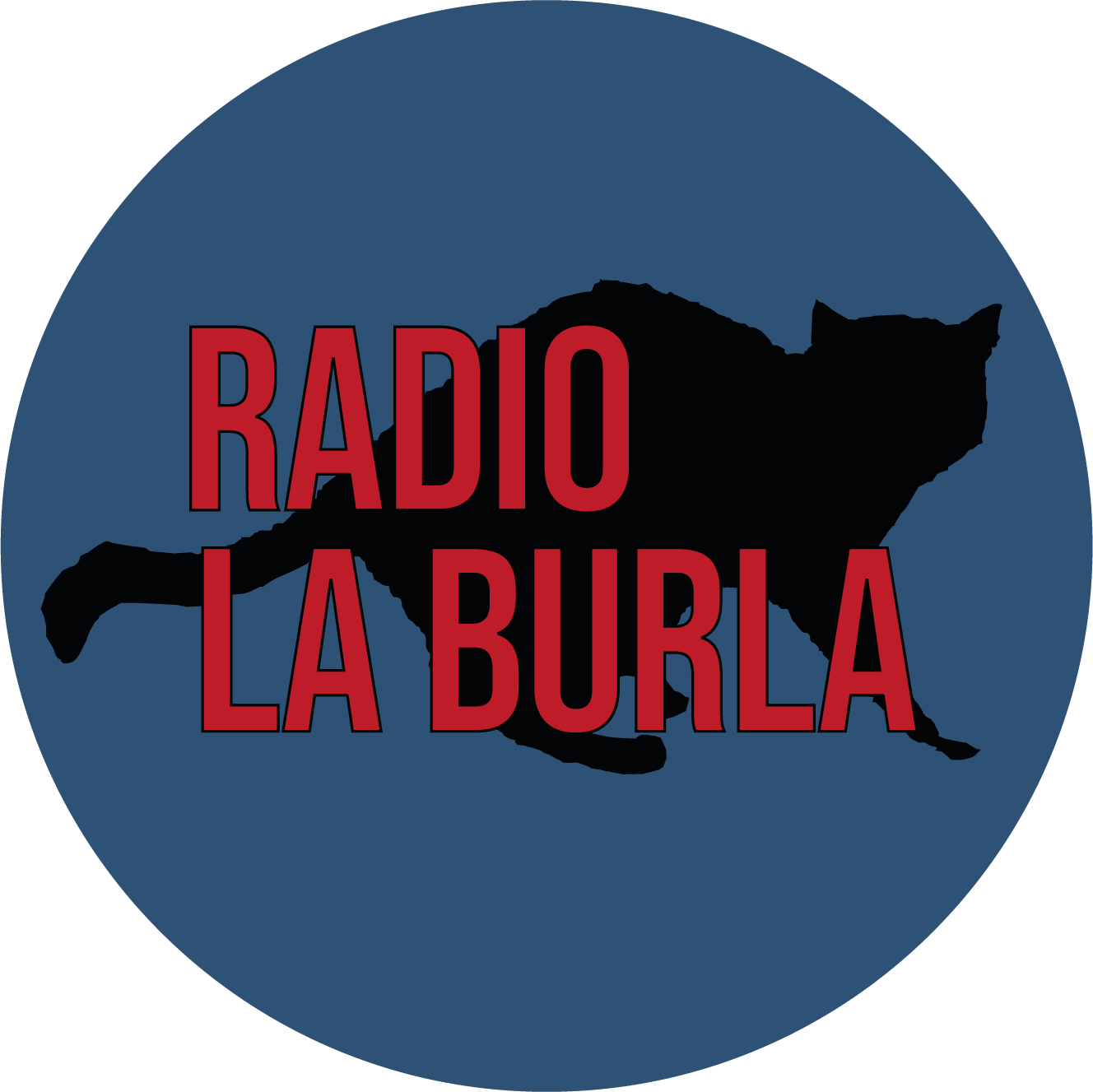 Website Image