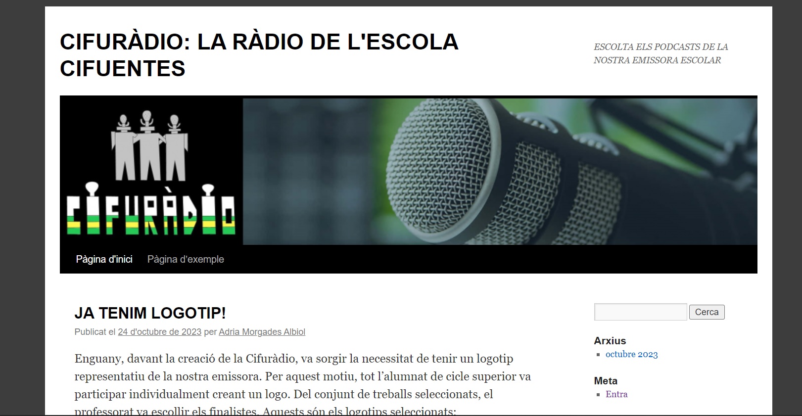 Website Image