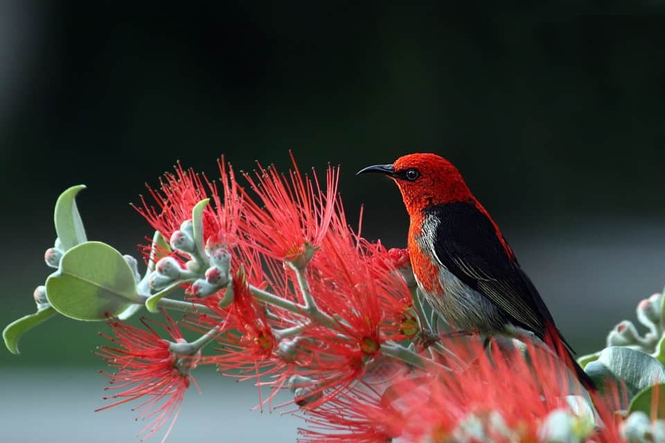 Website Image