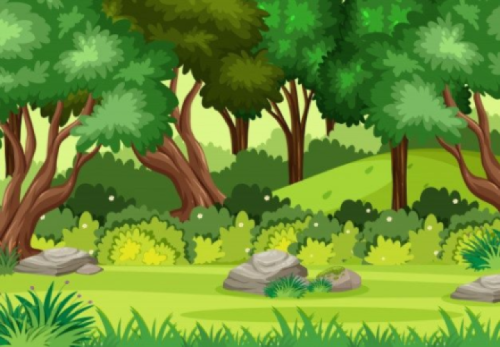 Website Image
