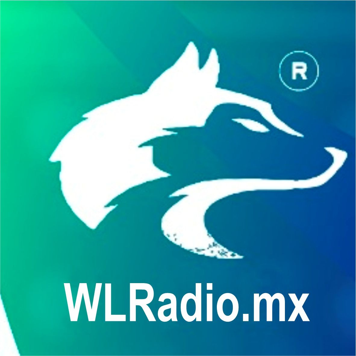 Website Image