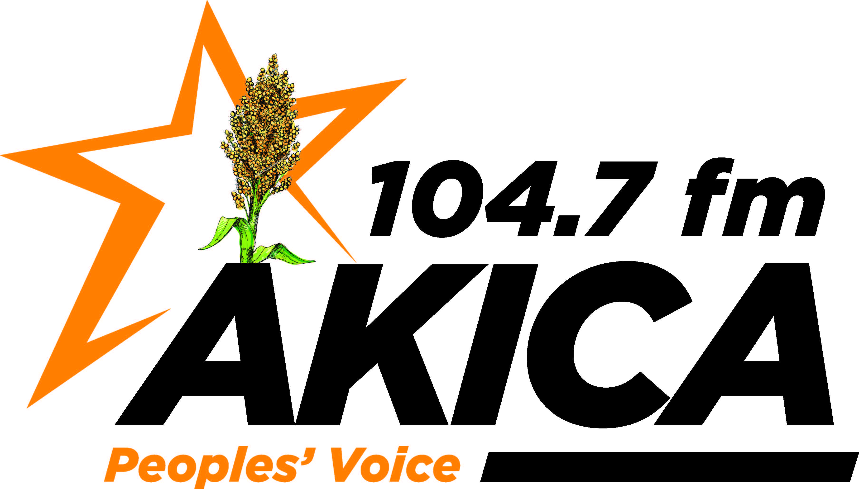 Website Image