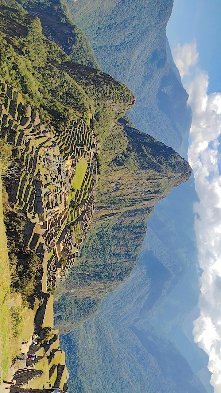 Website Image
