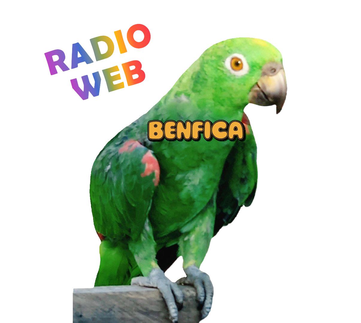 Website Image