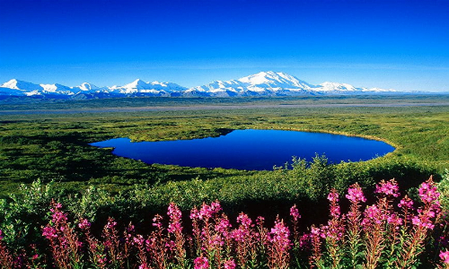 Website Image
