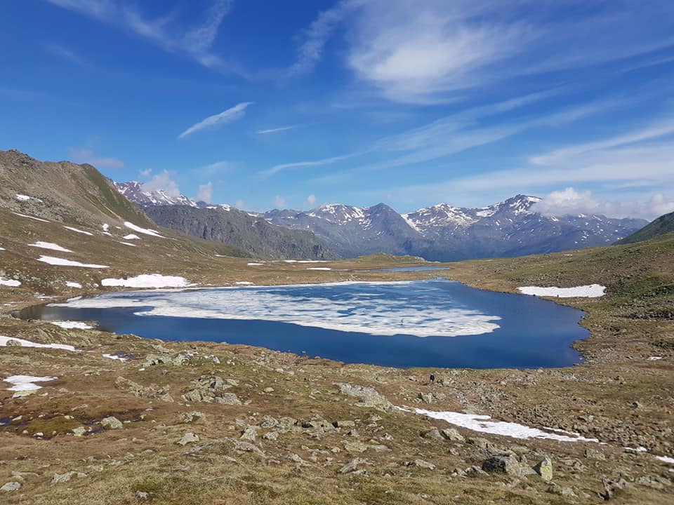 Website Image