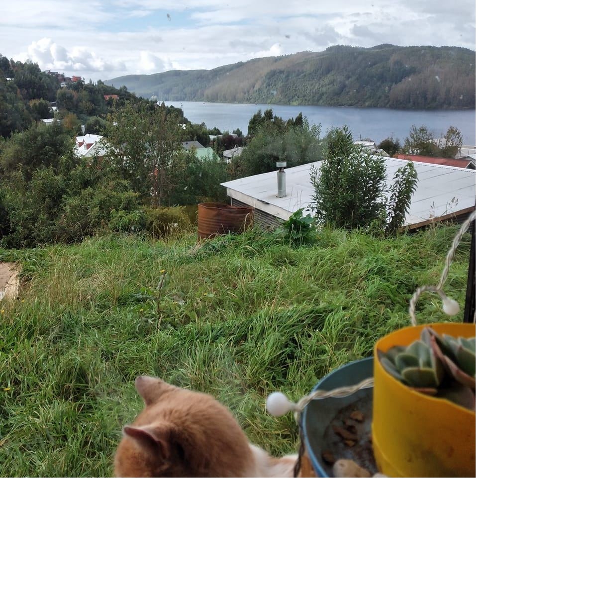 Website Image